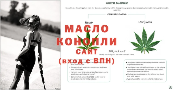 прущие грибы Белокуриха
