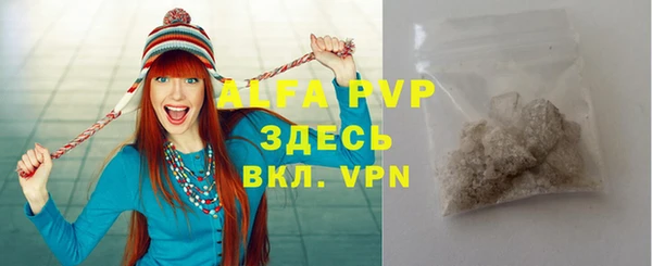 прущие грибы Белокуриха