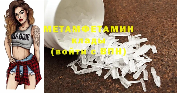 прущие грибы Белокуриха