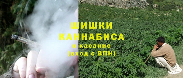 прущие грибы Белокуриха