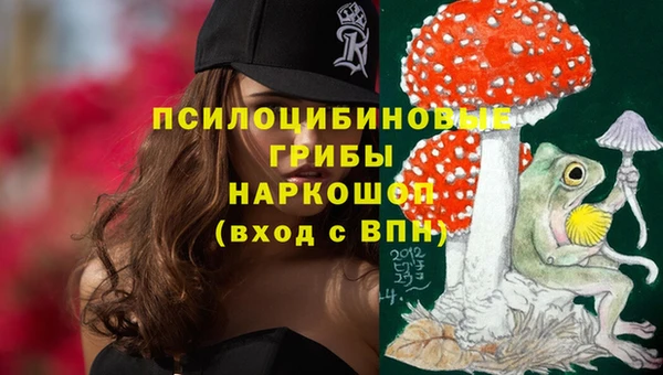 прущие грибы Белокуриха