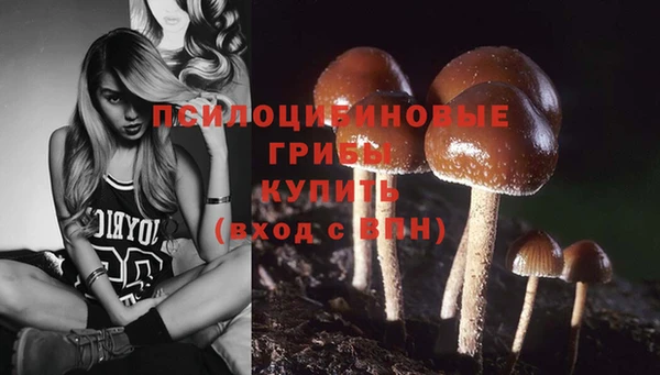 дмт Белоозёрский