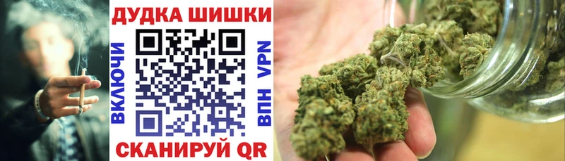 Конопля сатива  Обь 